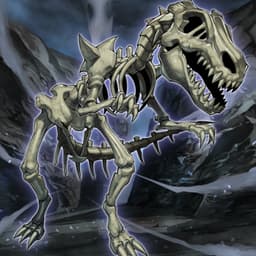 Fossil