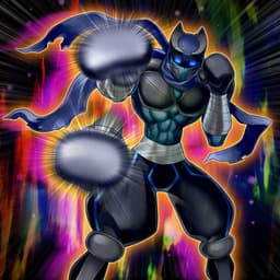 Battlin' Boxer