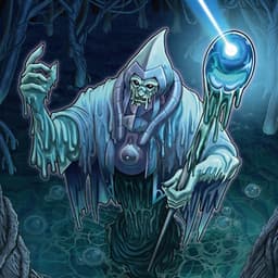 Swamp