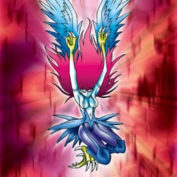 Harpie