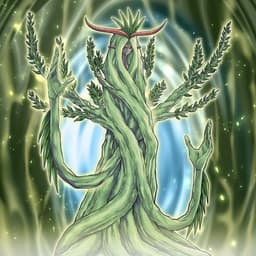 Sunavalon