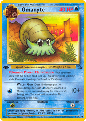 Omanyte