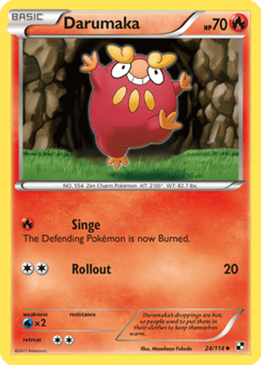 Darumaka