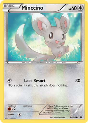 Minccino