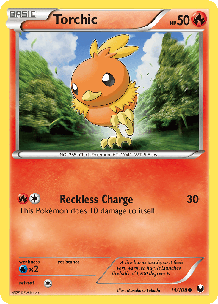 Torchic