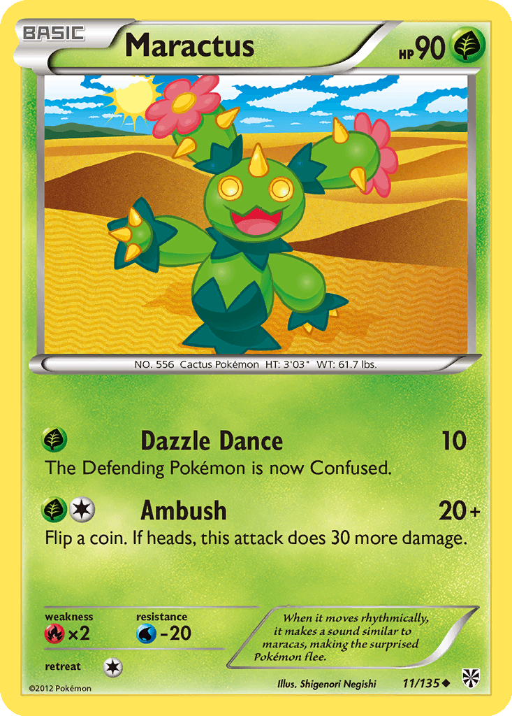 Maractus