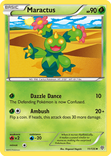 Maractus