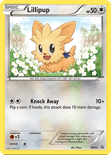 Lillipup