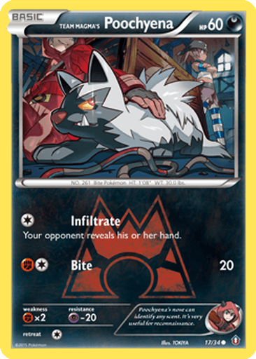 Team Magma's Poochyena