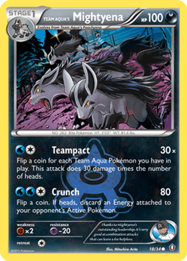 Team Aqua's Mightyena