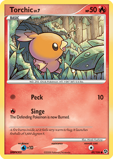 Torchic