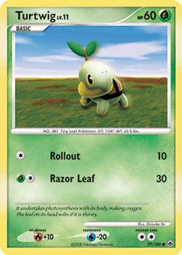 Turtwig