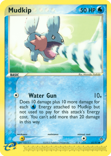 Mudkip