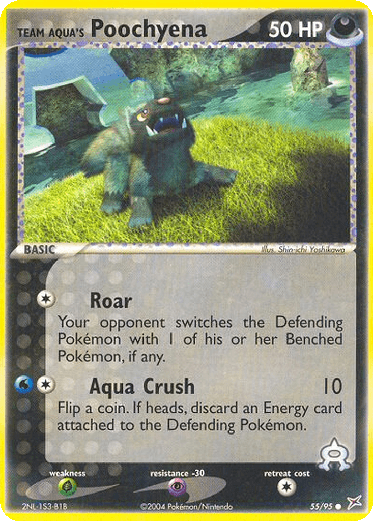 Team Aqua's Poochyena