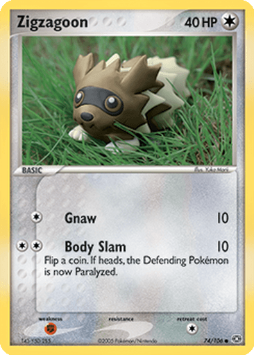 Zigzagoon