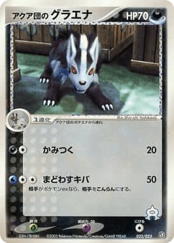 Team Aqua's Mightyena