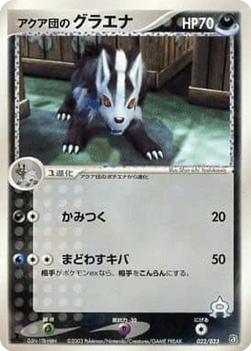 Team Aqua's Mightyena