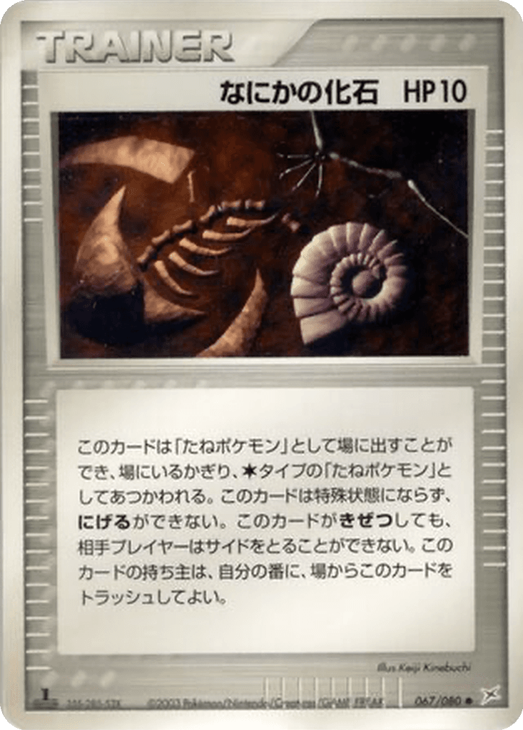 Mysterious Fossil