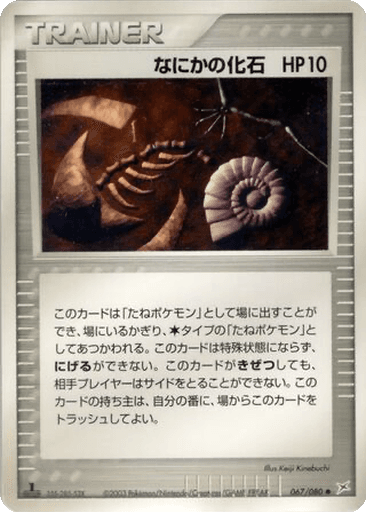 Mysterious Fossil