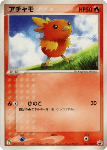 Torchic