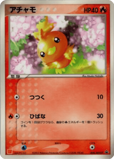 Torchic