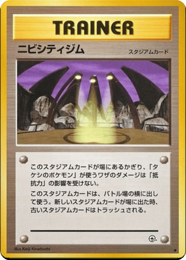 Pewter City Gym