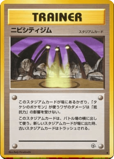 Pewter City Gym