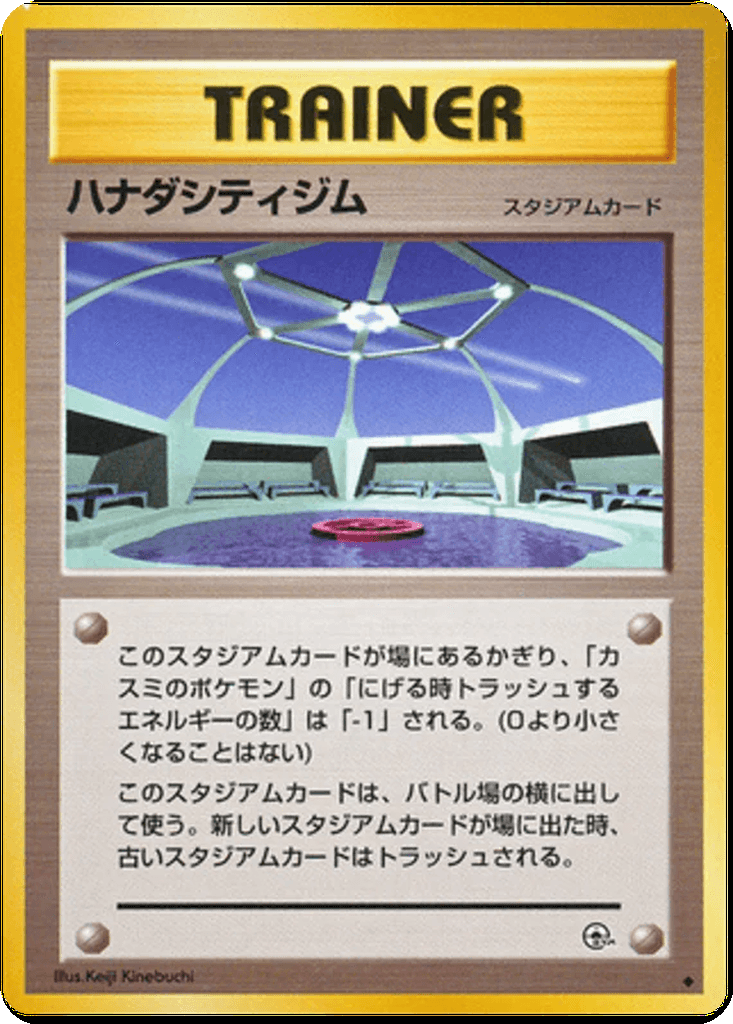 Cerulean City Gym
