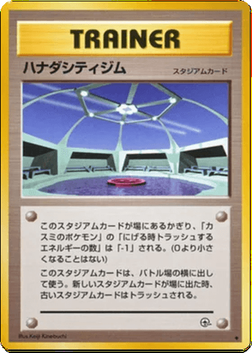 Cerulean City Gym