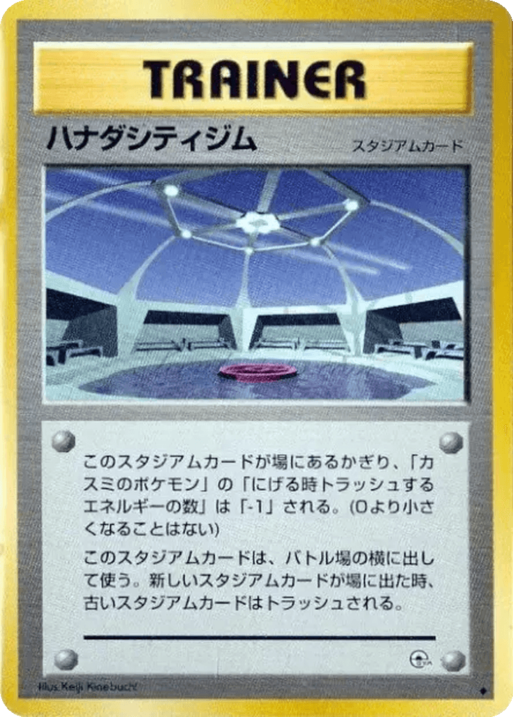 Cerulean City Gym