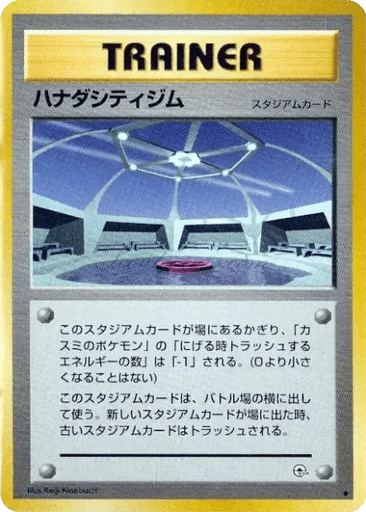 Cerulean City Gym