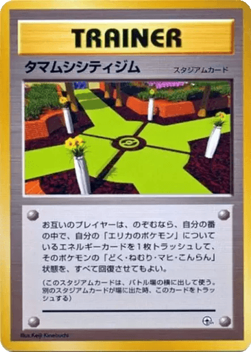 Celadon City Gym