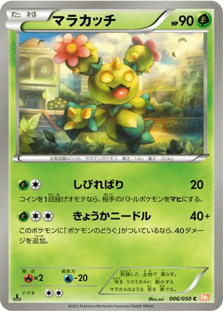 Maractus