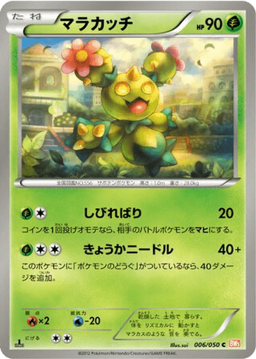 Maractus
