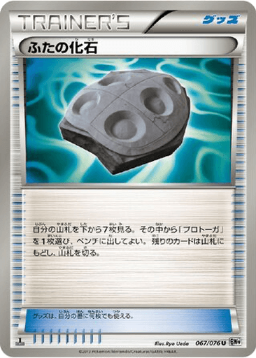 Cover Fossil
