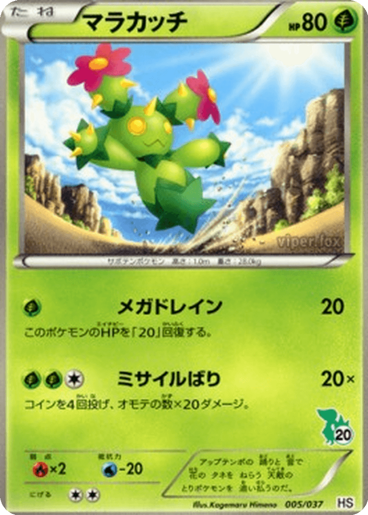 Maractus