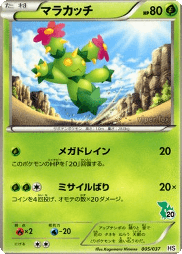 Maractus