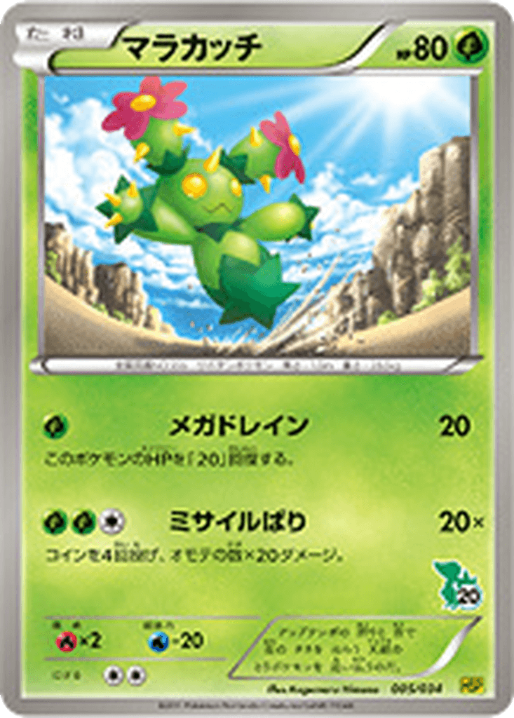 Maractus