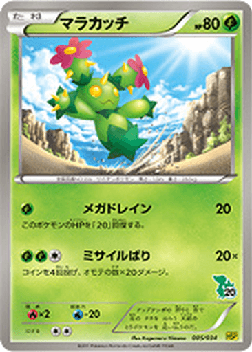 Maractus