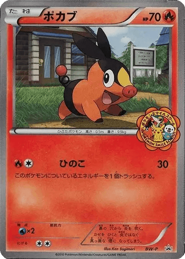 Tepig