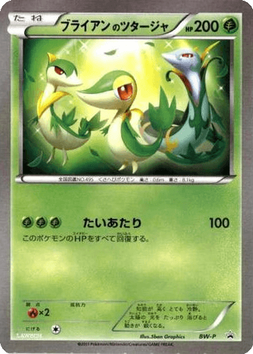 _____'s Snivy