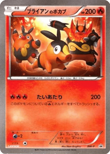_____'s Tepig