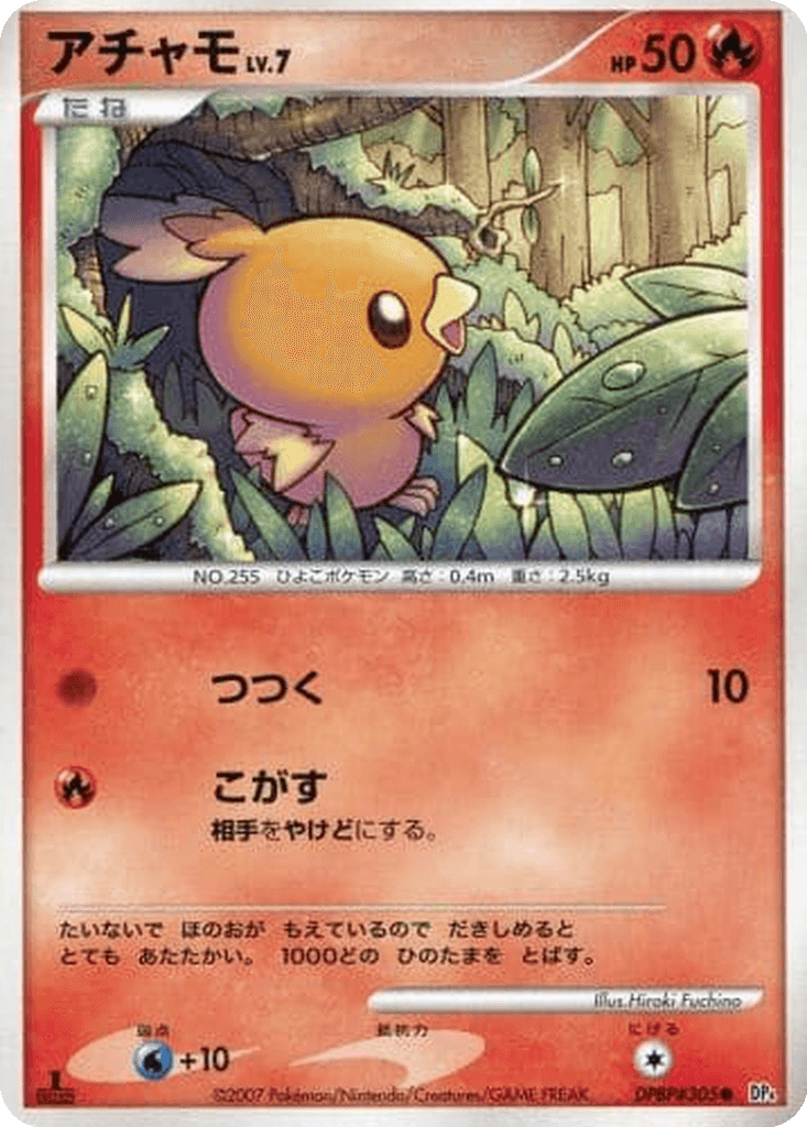 Torchic