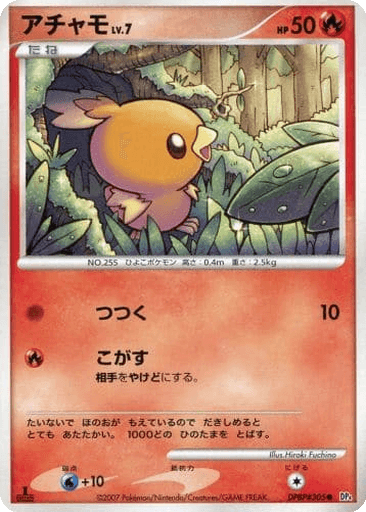 Torchic