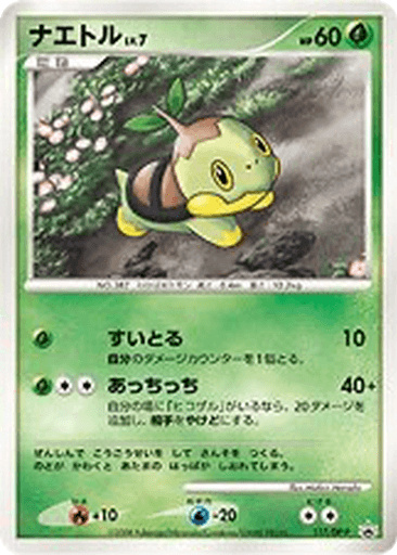 Turtwig