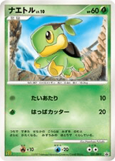 Turtwig