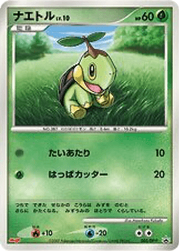 Turtwig