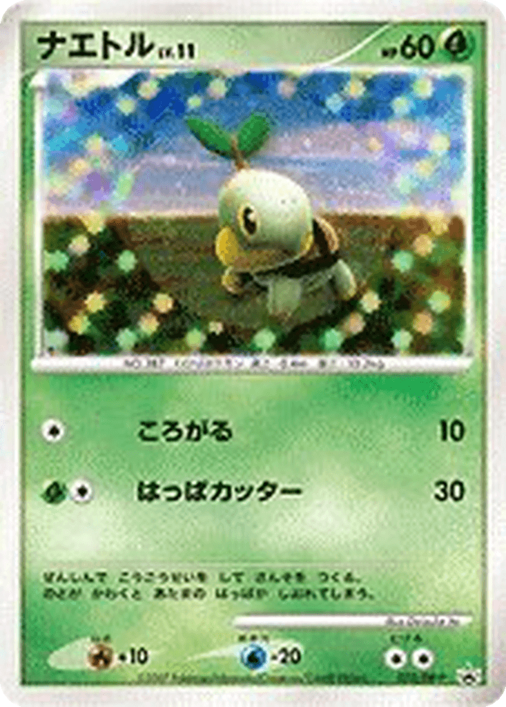 Turtwig