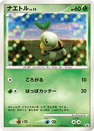 Turtwig