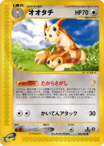 Furret